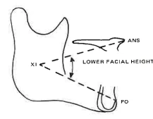 Manual Illustration